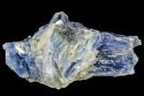 Vibrant Blue Kyanite Crystal Cluster - Brazil #113476-1